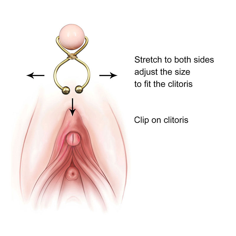 Use Pictures to Help You Understand Clit Ring & Clit Clamp Basics