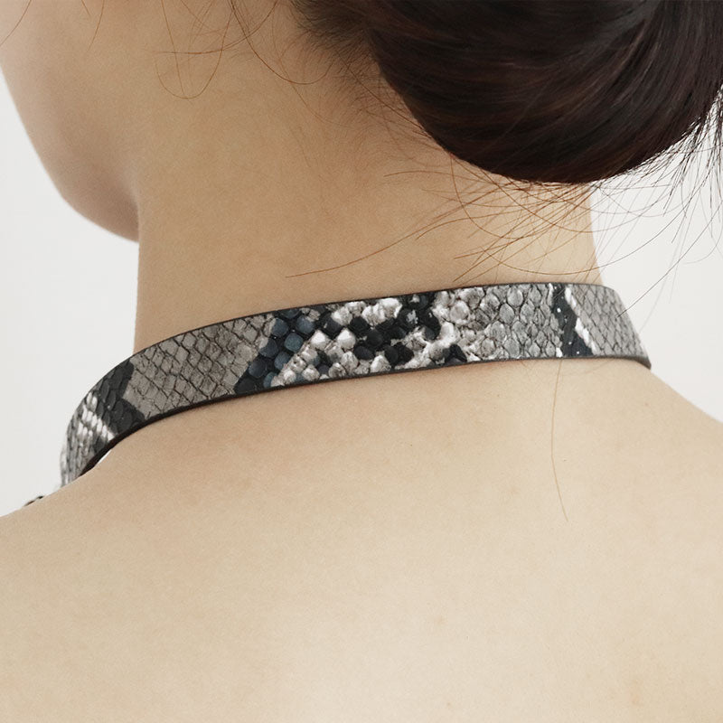 bdsm collar and leash