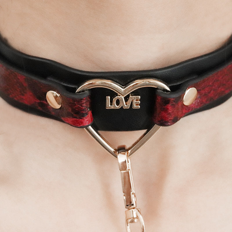 collar and leash set