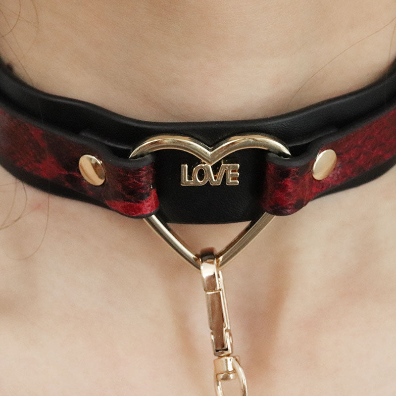 red  leather collar